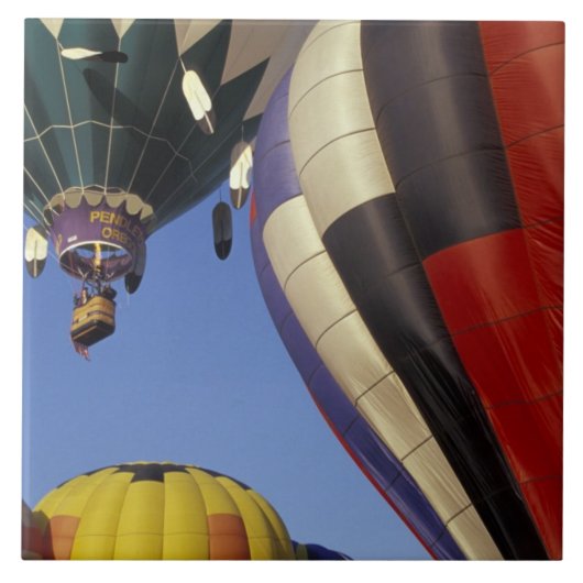 N.A., USA, Washington, Walla Walla Fliese (Vorderseite)