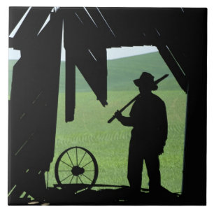 N.A., USA, Washington, Whitman County. Fliese