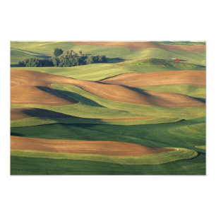 N.A., USA, Washington, Whitman County. Fotodruck