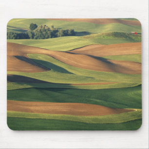 N.A., USA, Washington, Whitman County. Mousepad