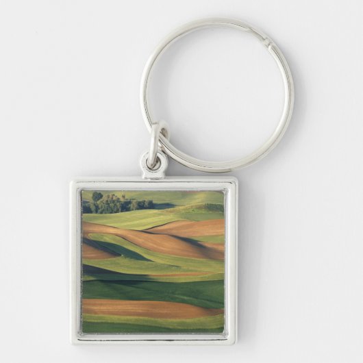 N.A., USA, Washington, Whitman County. Schlüsselanhänger (Vorne)