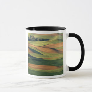 N.A., USA, Washington, Whitman County. Tasse