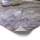 N. C. Wyeth Long John Silver und sein Papagei Poster (Ecke)