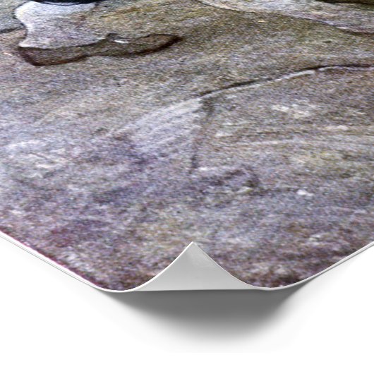 N. C. Wyeth Long John Silver und sein Papagei Poster (Ecke)