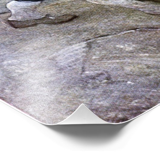 N. C. Wyeth Long John Silver und sein Parrot Poste Fotodruck (Ecke)