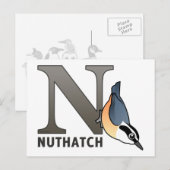 N für Nuthatch Postkarte (Vorne/Hinten)