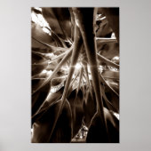 Na direção do sol poster (Vorne)