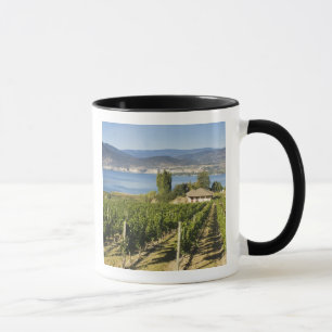 NA; Kanada; British Columbia; Okanagan Valley; Tasse
