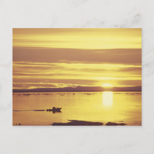 NA, Kanada, Kanadische Arktis, Baffin Island Postkarte