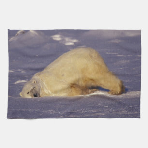 NA, Kanada, Manitoba, Churchill, Polar Geschirrtuch