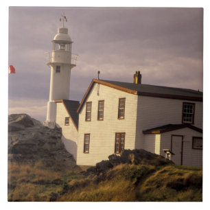 NA, Kanada, Neufundland, Lobster Cove. Hummer Fliese