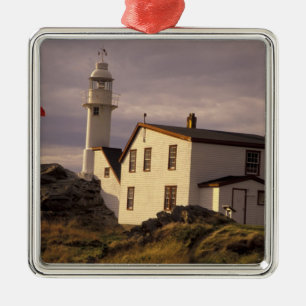 NA, Kanada, Neufundland, Lobster Cove. Hummer Silbernes Ornament