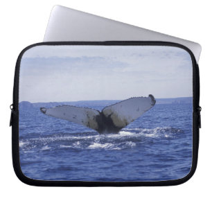 NA, Kanada, Neufundland, Trinity Bay. Buckelwal Laptopschutzhülle