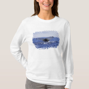 NA, Kanada, Neufundland, Trinity Bay. Buckelwal T-Shirt