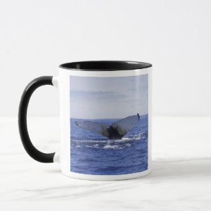 NA, Kanada, Neufundland, Trinity Bay. Buckelwal Tasse