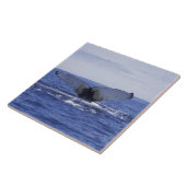 NA, Kanada, Neufundland, Trinity Bay. Humpback Fliese (Seite)