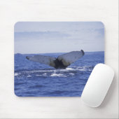 NA, Kanada, Neufundland, Trinity Bay. Humpback Mousepad (Mit Mouse)