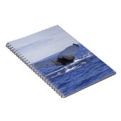 NA, Kanada, Neufundland, Trinity Bay. Humpback Notizblock (Rechte Seite)
