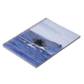 NA, Kanada, Neufundland, Trinity Bay. Humpback Notizblock (Linke Seite)