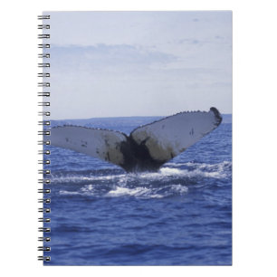 NA, Kanada, Neufundland, Trinity Bay. Humpback Notizblock