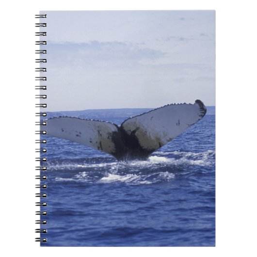 NA, Kanada, Neufundland, Trinity Bay. Humpback Notizblock (Vorderseite)