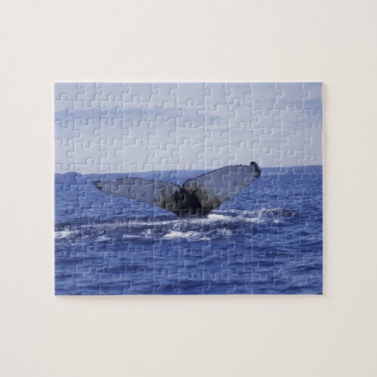 NA, Kanada, Neufundland, Trinity Bay. Humpback Puzzle (Horizontal)