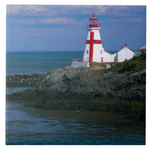 NA, Kanada, New Brunswick, Campobello Island. 4 Fliese
