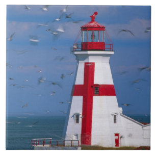 NA, Kanada, New Brunswick, Campobello Island. 8 Fliese
