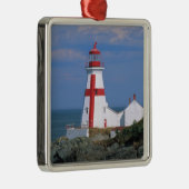NA, Kanada, New Brunswick, Campobello Island. Silbernes Ornament (Rechts)