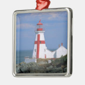NA, Kanada, New Brunswick, Campobello Island. Silbernes Ornament (Links)