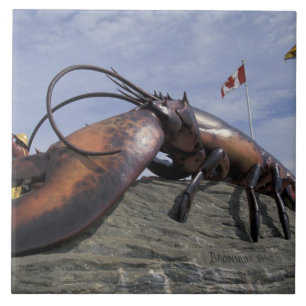 NA, Kanada, New Brunswick, Shediak, Weltweit Fliese
