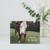 Na, Na! Funny Cow Sticks Out Tongue Postkarte (Stehend Vorderseite)