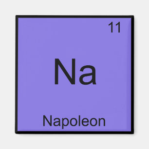 Na - Napoleon Funny Chemistry Element Symbol T-Shi Magnet