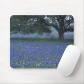 NA, Texas, Devine, Eichen und blaue Bonnets Mousepad (Mit Mouse)