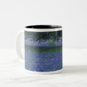 NA, Texas, Devine, Eichen und blaue Bonnets Zweifarbige Tasse (Vorderseite Links)