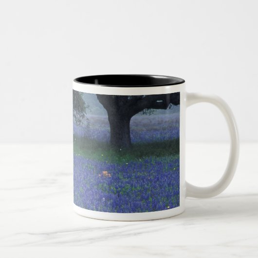NA, Texas, Devine, Eichen und blaue Bonnets Zweifarbige Tasse (Rechts)