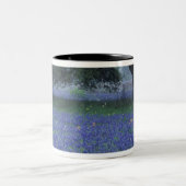 NA, Texas, Devine, Eichen und blaue Bonnets Zweifarbige Tasse (Mittel)