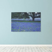 NA, Texas, Devine, Eichen und blaue Kronen Leinwanddruck (Insitu (Holzboden))