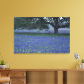NA, Texas, Devine, Eichen und blaue Kronen Leinwanddruck (Insitu (Wohnzimmer))