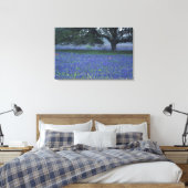 NA, Texas, Devine, Eichen und blaue Kronen Leinwanddruck (Insitu (Schlafzimmer))