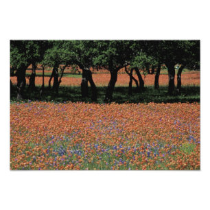 NA, Texas, Texas Hill Country, Buchan Dam, Fotodruck