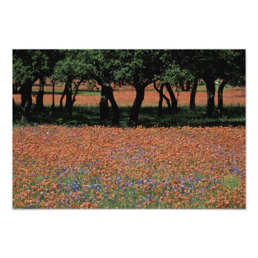 NA, Texas, Texas Hill Country, Buchan Dam, Fotodruck (Vorne)