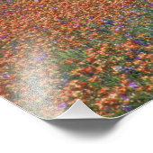 NA, Texas, Texas Hill Country, Buchan Dam, Fotodruck (Ecke)