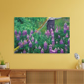 NA, USA, Alaska, Aleusianinseln, Unalaska, Leinwanddruck (Insitu (Wohnzimmer))