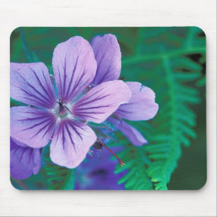 NA, USA, Alaska, Aleuten, Wild Mousepad
