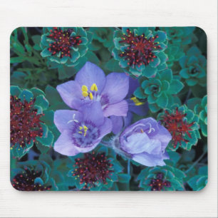 NA, USA, Alaska, Aleuten, Wildblumen 2 Mousepad