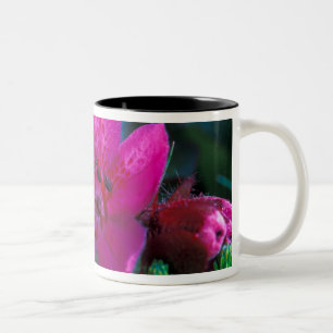 NA, USA, Alaska, Aleuten, Wildblumen Zweifarbige Tasse