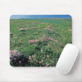 NA, USA, Alaska, Aleutian Island, Landschaftlich m Mousepad (Mit Mouse)