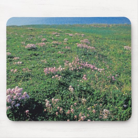 NA, USA, Alaska, Aleutian Island, Landschaftlich m Mousepad (Vorne)