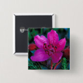 NA, USA, Alaska, Aleutian Islands, Wildblumen Button (Vorne & Hinten)